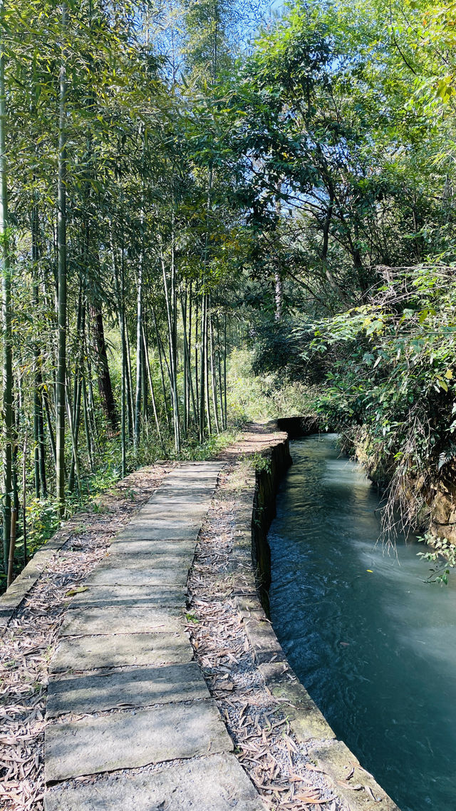 戶外行山一日遊｜桐廬•馬嶺古道。