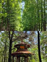 驻马店周边游|泌阳铜山湖，铜山湖森林公园！。