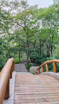 山東臨沂·沂蒙山 | 親親沂水長。