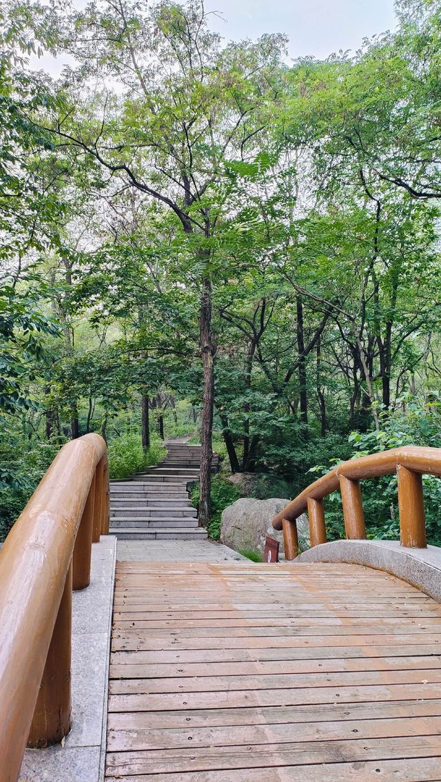山東臨沂·沂蒙山 | 親親沂水長。