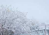 川西雪國夢境!甲根壩初冬風光太美了|。