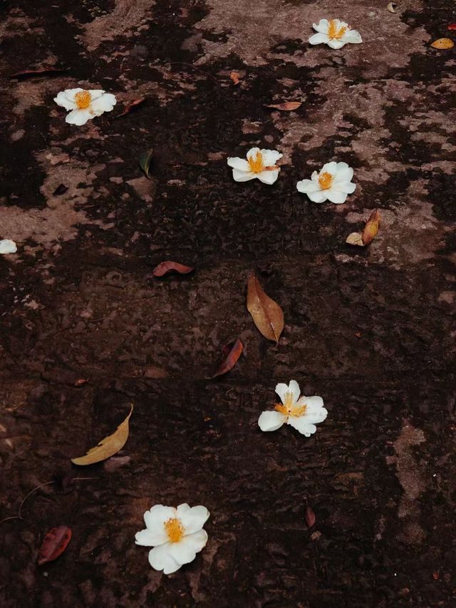 內江市石板河景區 | 避暑遊玩好去處。