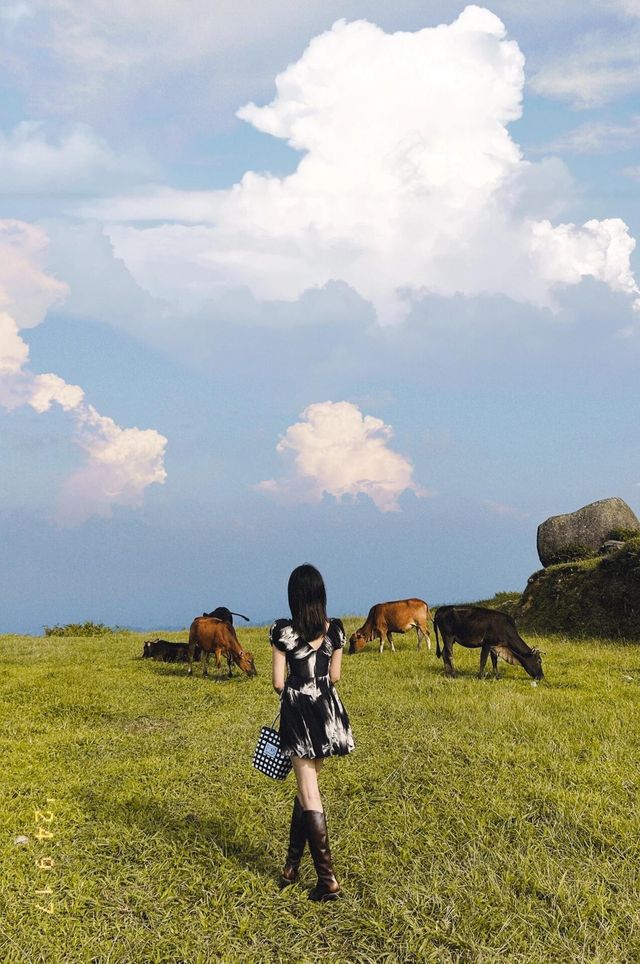 我來自浮雲=雲浮。