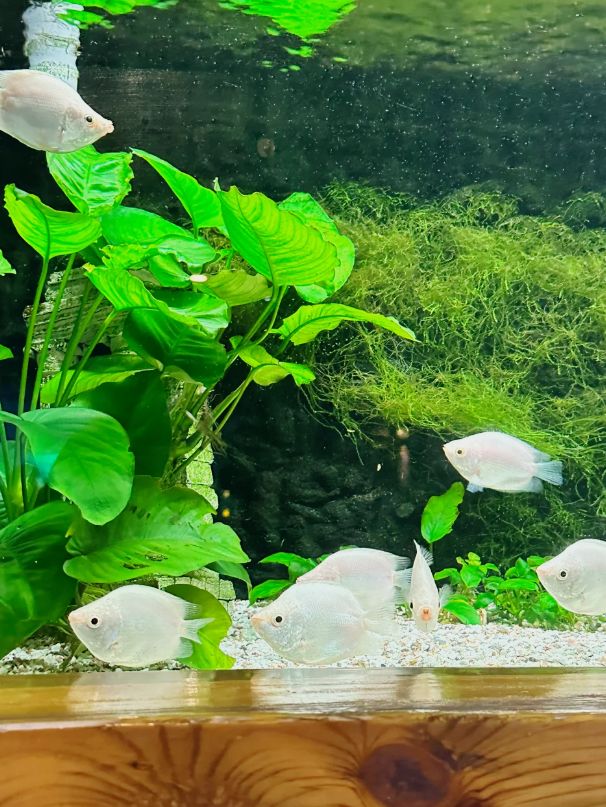 長沙海底世界遊玩攻略。