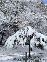 西安翠華山｜絕美雪景。