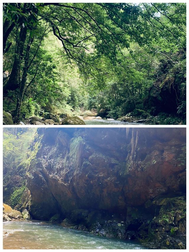 溪源大峽谷景色美不勝收，滿眼都是美景。