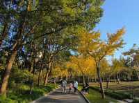 遊上海：桃浦中央綠地公園。