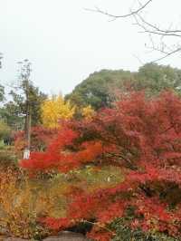 常熟曾趙園