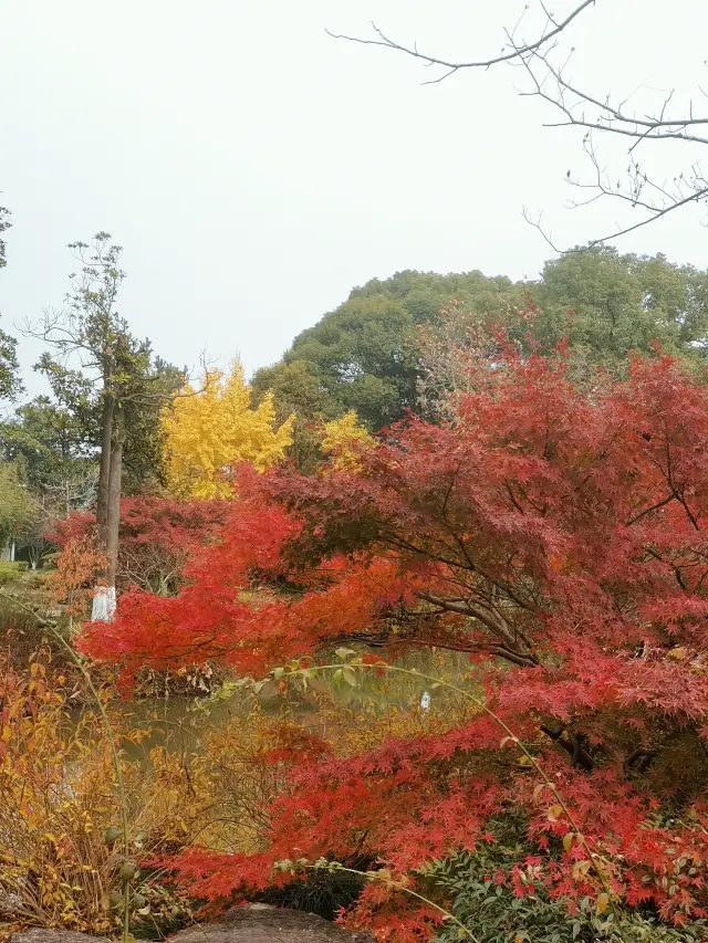 Cengzhao Garden, Changshu