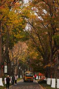 昆山寶藏賞楓地——亭林園