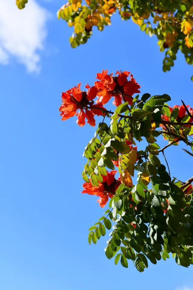 來雲南元謀，享受27℃的冬日暖陽