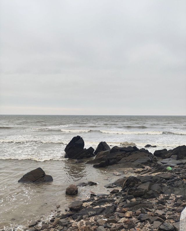 【海韻大鹿·夢境海岸·探秘東方明珠】
