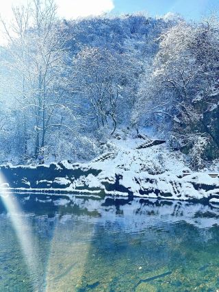 Qinling Snow Country Train: A Dream Ticket to a Winter Wonderland