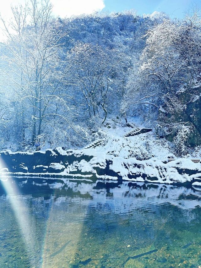 秦嶺雪國專列：邂逅冬日奇境的夢幻車票