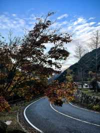 杭州旅遊的小眾景點—大明山