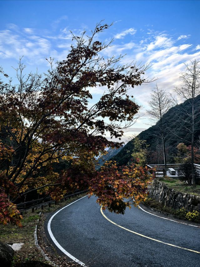 杭州旅遊的小眾景點—大明山