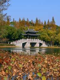 12月獨有的浪漫｜尚湖的秋藏不住了
