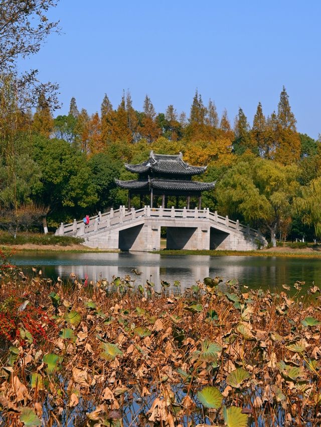 12月獨有的浪漫｜尚湖的秋藏不住了