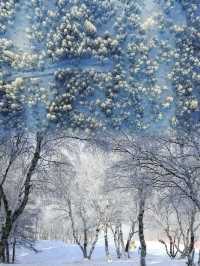 崇禮五大雪場該怎麼選看這一篇就夠了