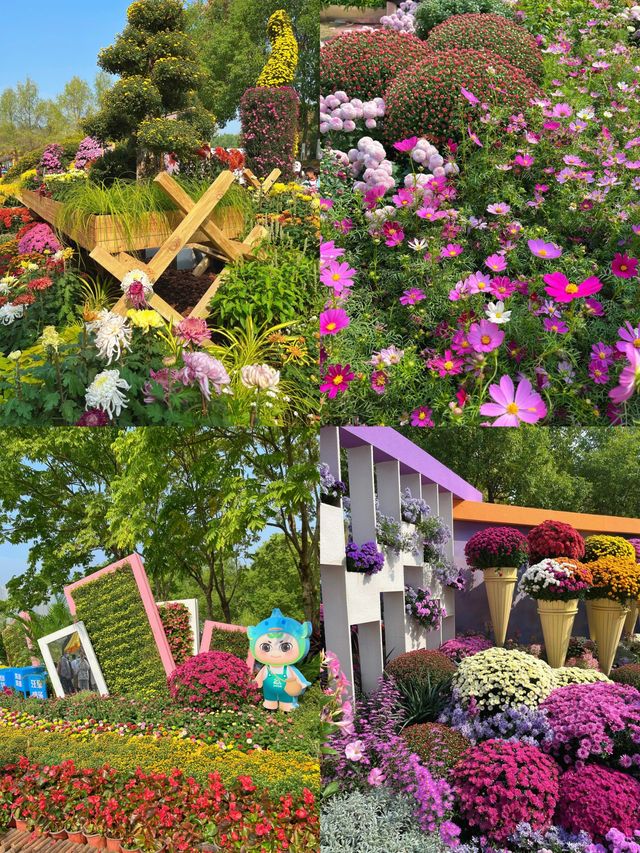 東湖公園菊花展明天開啦，12.20-1.03~