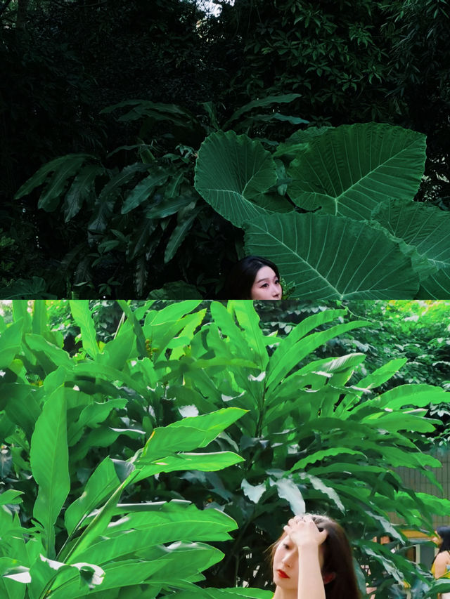 南寧在人民公園獲得滿滿鬆弛感
