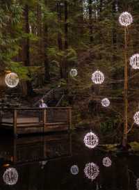 Explore the Iconic Capilano Suspension Bridge Park in Vancouver