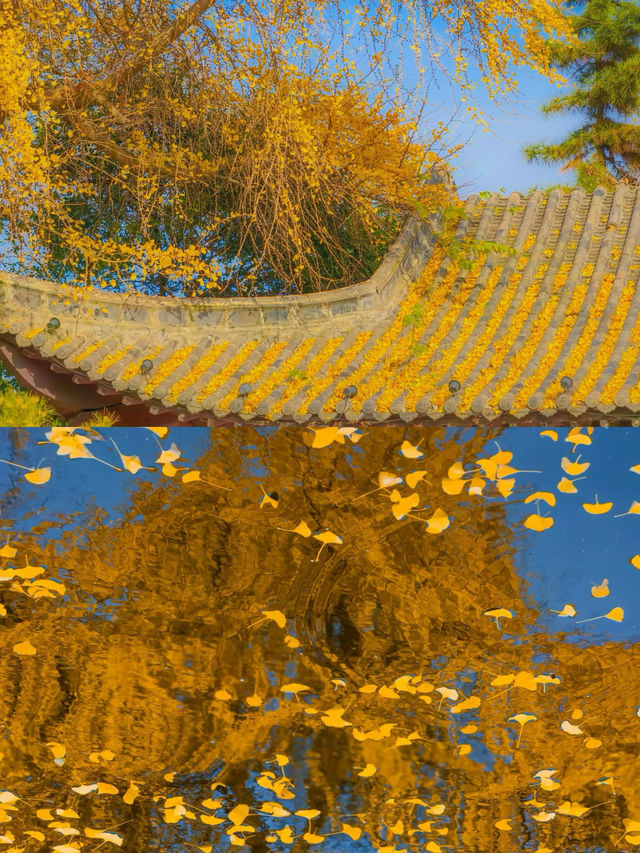 鄭州紫荊山公園遊覽攻略！帶你看遍美景！