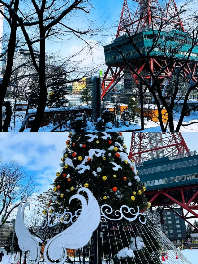 Explore Sapporo, Hokkaido, Japan, where the winter snow is as beautiful as a painting!