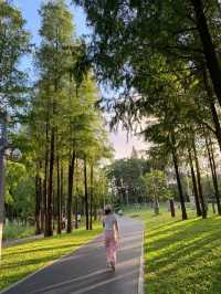 深圳四海公園的美景讓人流連忘返！