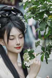 揚州香格里拉｜柳園賞春
