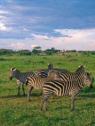 10-Day Kenya Tour: A Must-Read Guide for Friends Traveling Together