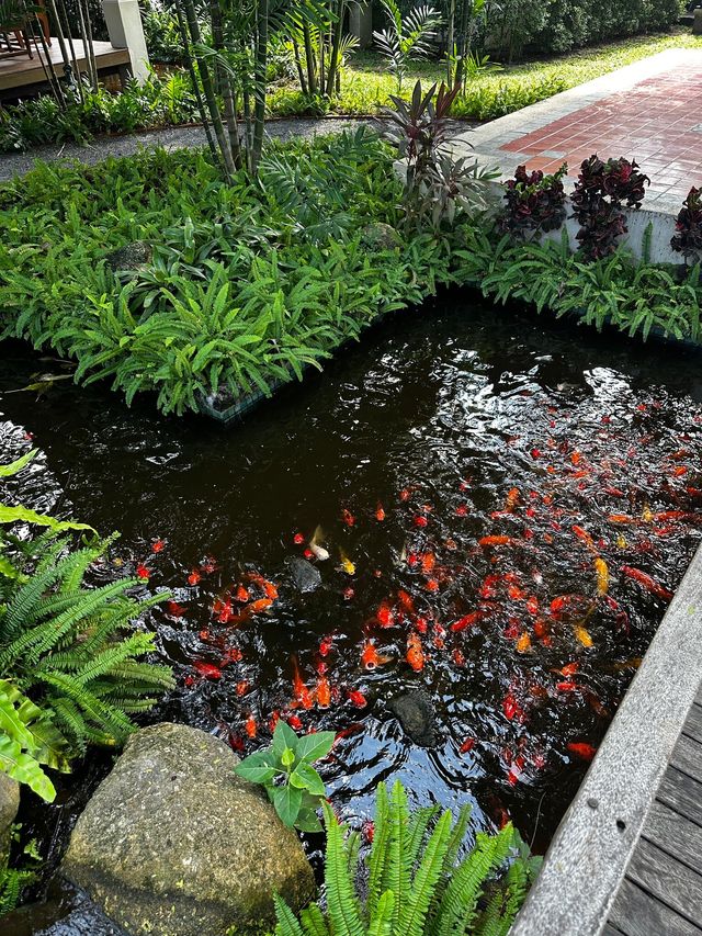 查汶麗晶海灘度假村頂級度假體驗