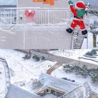 在海邊看雪景！！！威海真是太合適啦！！！