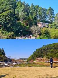 深圳坪山可以看落羽杉新開的免費公園 live