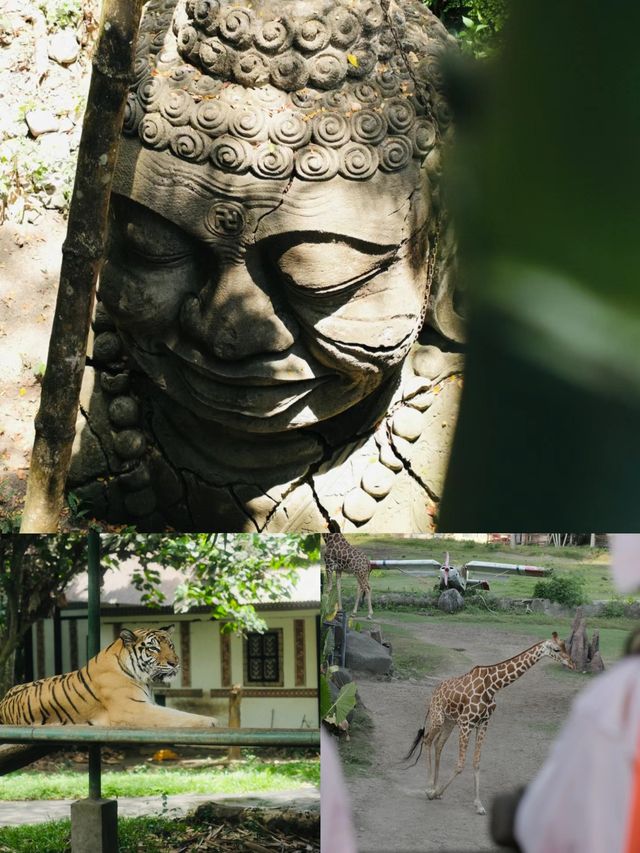 南非旅行｜入住野生動物保護區裏的奢華酒店