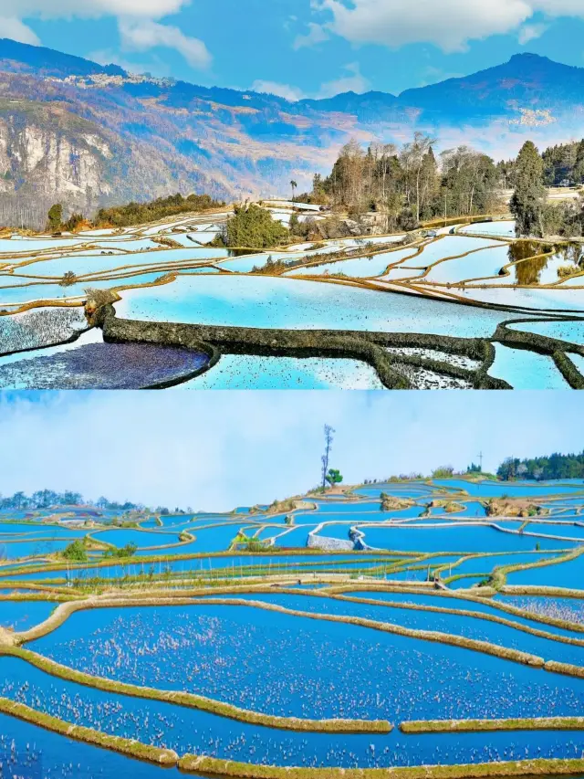 春節去蒙自看這一篇就夠啦