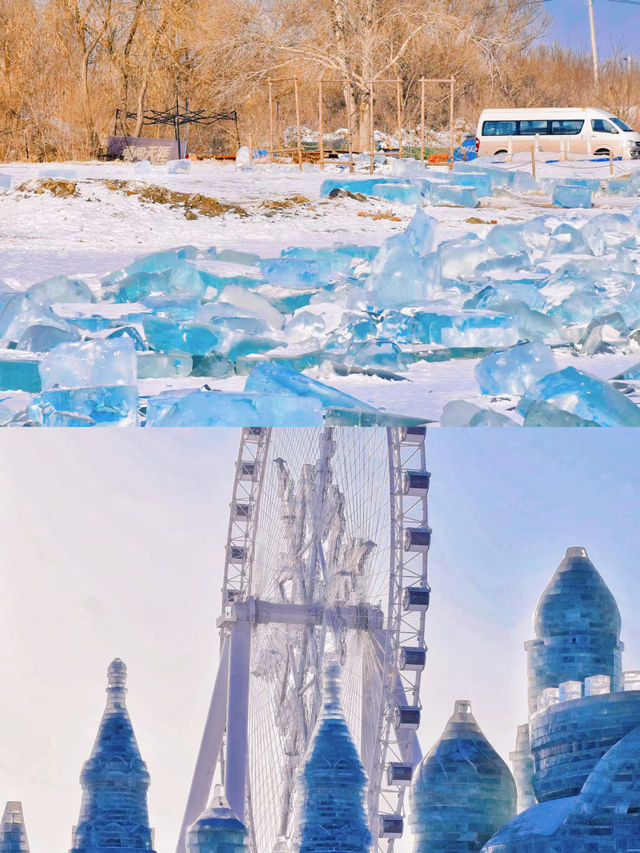 2024旅行結算|我最喜愛的冬季旅遊城市