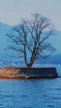 《春節探秘：驚艷廬山西海》