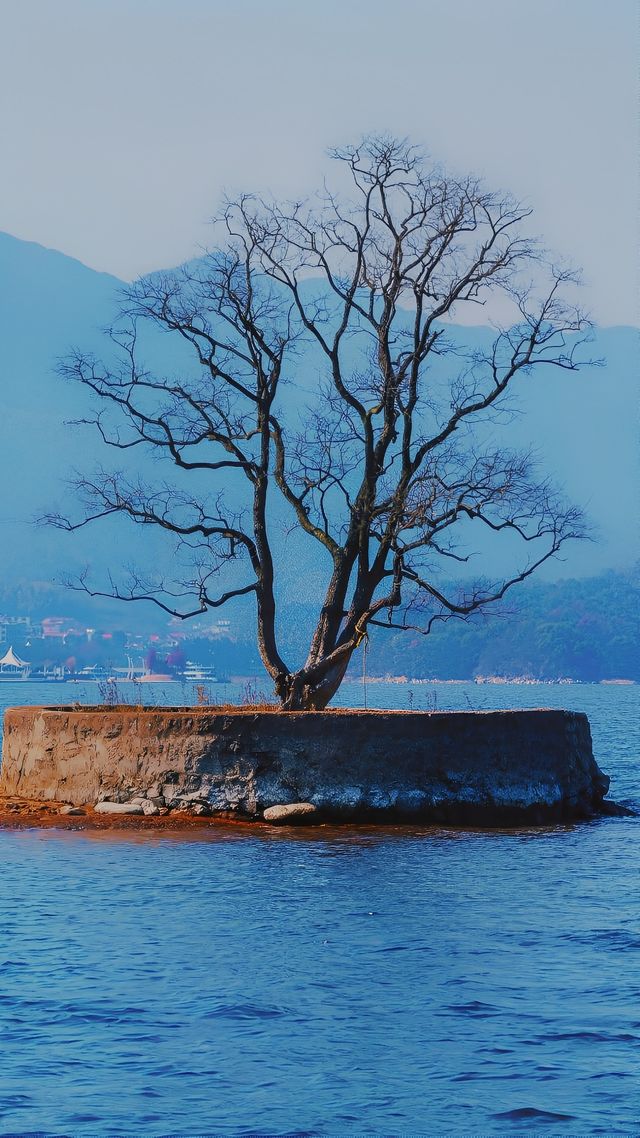 《春節探秘：驚艷廬山西海》