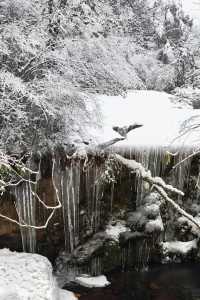 不用出國門，就在成都周邊就能找到這麼美的冰雪仙境！