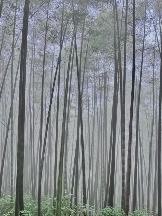 成都附近的宜賓興文誰懂啊！彷彿走進了探險世界的入口