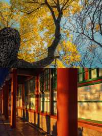 北京兩天一夜旅遊‖打卡避坑攻略