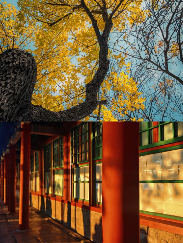 北京兩天一夜旅遊‖打卡避坑攻略