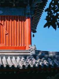 萬壽寺｜京西的靜謐與輝煌