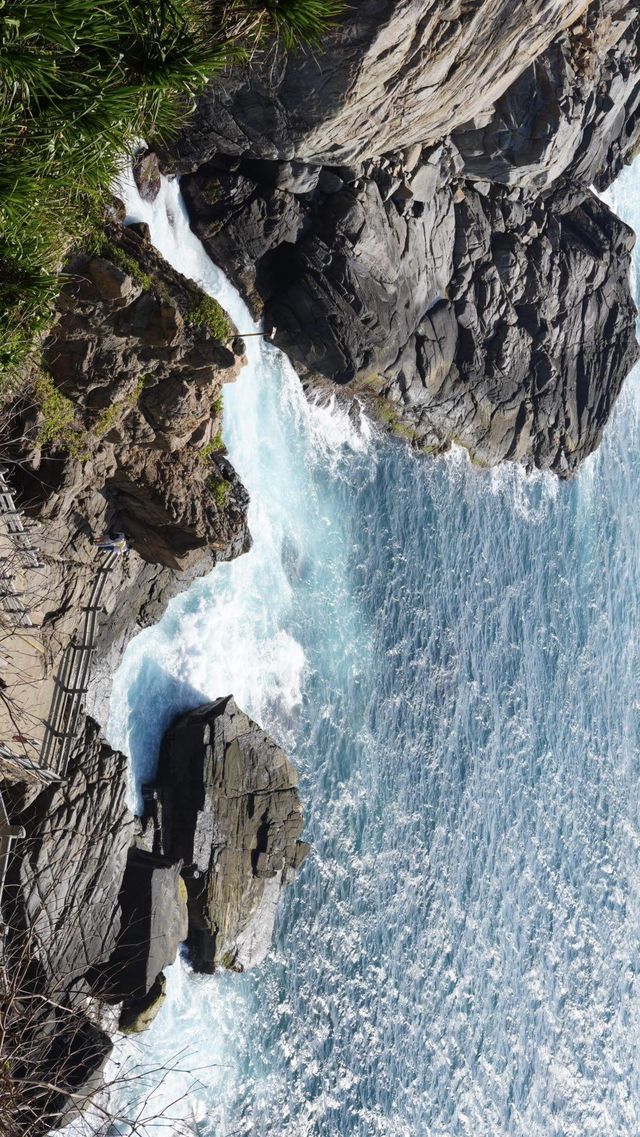 奔赴下一場山海，來分界洲島旅行