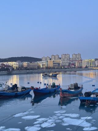 Winter by the Sea | A Romantic Encounter with Frozen Seas and Seagulls