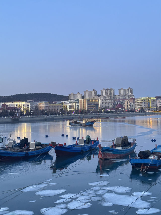 冬日海邊|凍海與海鷗的浪漫邂逅