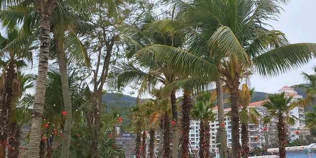 Dameisha beach 🏖 Shenzhen🌊🤩🇨🇳