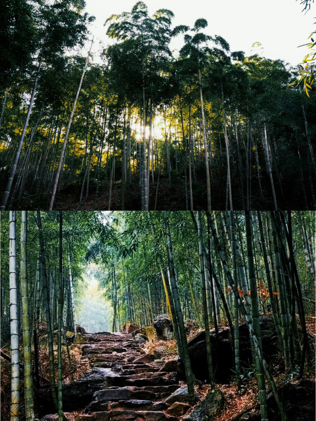 多出去走走 ，世界的美我們不知道！