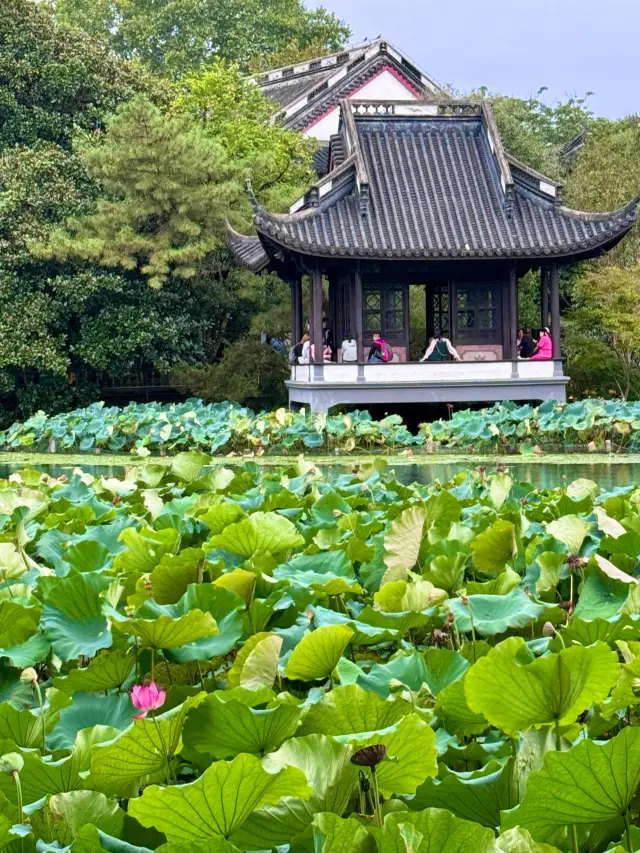 杭州兩日遊詳盡攻略實測順暢不繞路！